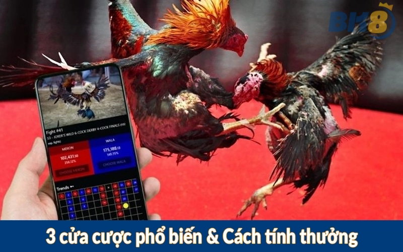 3 cửa cược phổ biến & Cách tính thưởng