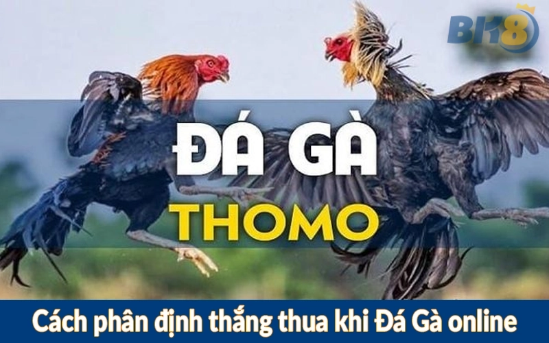 Cách phân định thắng thua khi Đá Gà online