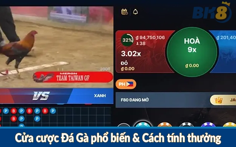 Cửa cược Đá Gà phổ biến & Cách tính thưởng