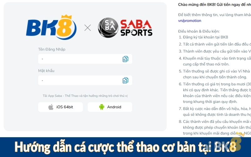 Hướng dẫn cá cược thể thao cơ bản tại BK8