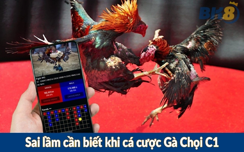 Sai lầm cần biết khi cá cược Gà Chọi C1