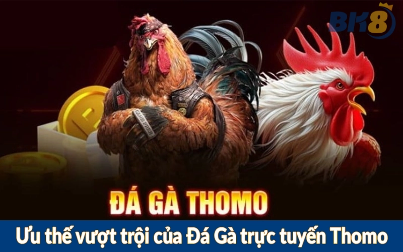 Ưu thế vượt trội của Đá Gà trực tuyến Thomo